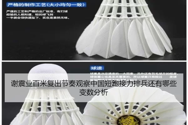 谢震业百米复出节奏观察中国短跑接力排兵还有哪些变数分析
