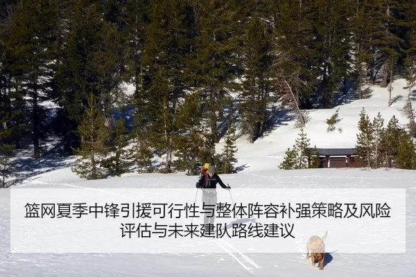 篮网夏季中锋引援可行性与整体阵容补强策略及风险评估与未来建队路线建议
